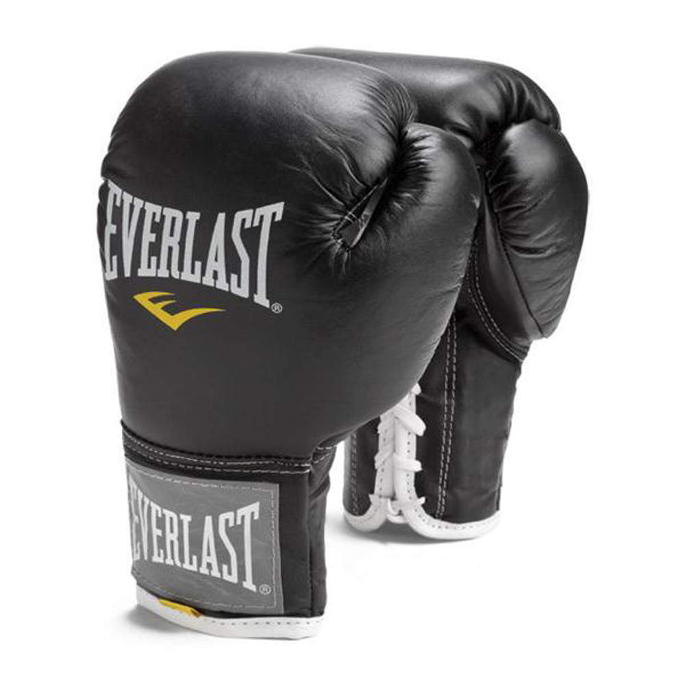 Everlast® pro fight gloves - Pride Webshop