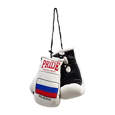 Picture of Miniature boxing gloves collection "Country PRIDE" 