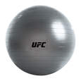 Picture of UFC fitness lopta