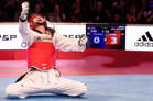 Picture for category Taekwondo PSS