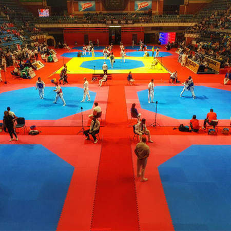 Picture of Iznajmljivanje osmerokutnih borilišta za WT taekwondo