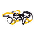 Picture of PRIDE system of workout straps - Suspension Trainer 