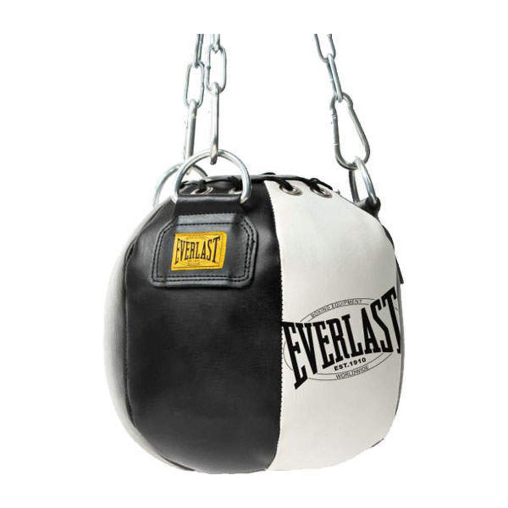 Picture of EC18 Everlast 1910 Headhunt Punching Bag