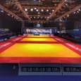Picture of Official Judo tatami