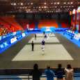 Picture of Official Judo tatami