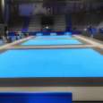 Picture of Official Judo tatami