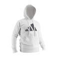 Picture of adidas taekwondo hoodie