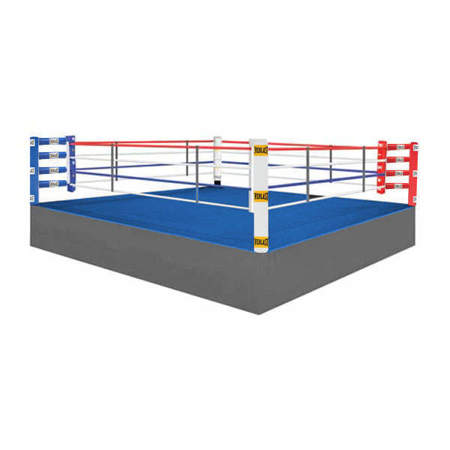Picture of Everlast boxing ring