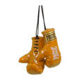 Picture of Miniature boxing gloves