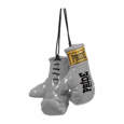 Picture of Miniature boxing gloves