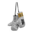 Picture of Miniature boxing gloves