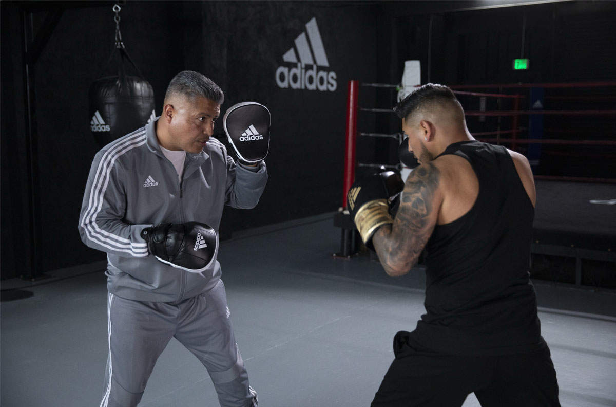 Picture for category Punch Mitts