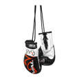 Picture of Rival Mini Boxing Gloves