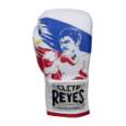 Picture of Manny Pacquiao Autograph Glove