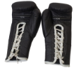 Picture of Collectible Everlast® pro fight gloves 1010