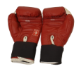 Picture of Everlast AIBA Boxing Gloves