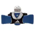 Picture of A669 adidas taekwondo team sportska torba